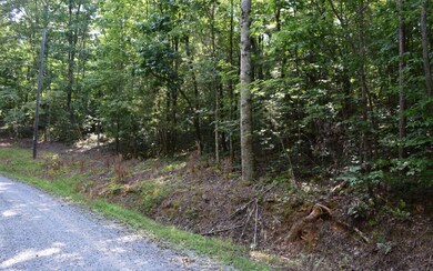 Additional View