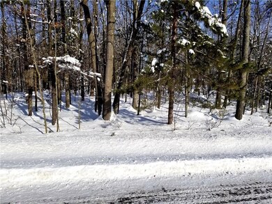 XXX County Hwy B, Hayward, WI 54843 - photo 3