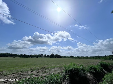 TBD Sonnier Rd unit 3-B, Church Point, LA 70525 - photo 5