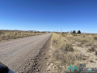0000 Butterfield Trail, Deming, NM 88030 - photo 2