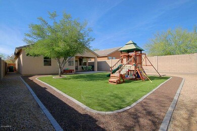 Backyard 4