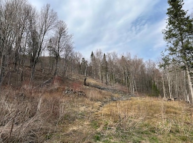 1837 River Rd, Lemington, VT 05903 - photo 4