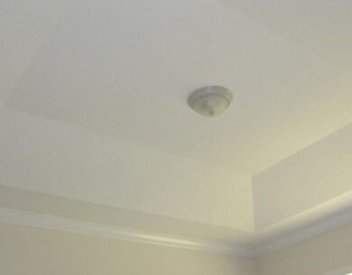 Other. Trey Ceiling in Master Bedroom