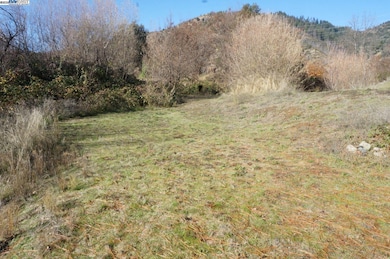 50 Acorn Ln, Junction City, CA 96048 - photo 3