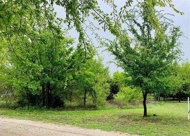 Lot 36 Block 13, Decatur, TX 76234 - photo 3