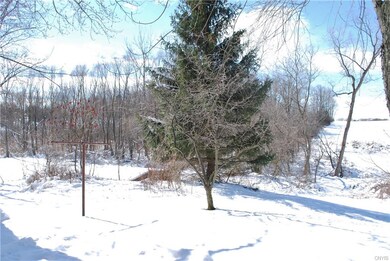 View Of Backyard from back porch