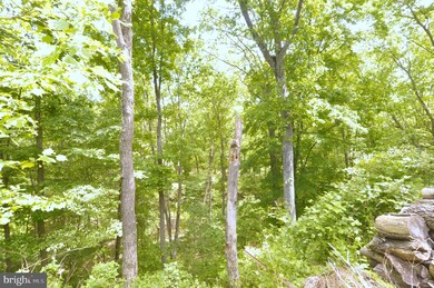 286 Circling Hawk Ln, Berkeley Springs, WV 25411 - photo 6