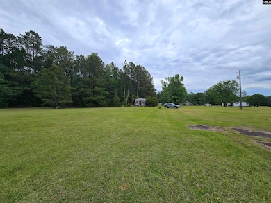 0 Us Hwy 176 unit 608437, Pomaria, SC 29126 - photo 6