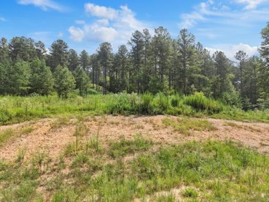 0 Birds Eye Way unit 1519255, Guild, TN 37340 - photo 2