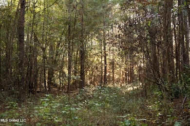 0 Lake View Golf Course Rd unit 4132339, Meridian, MS 39301 - photo 7