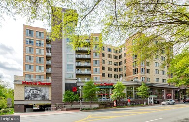 807 Fulton Ave, Falls Church, VA 22046 - photo 3