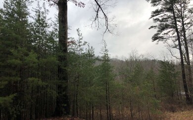 Additional View