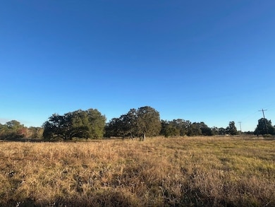 1311-B Alleyton Rd, Columbus, TX 78934 - photo 4