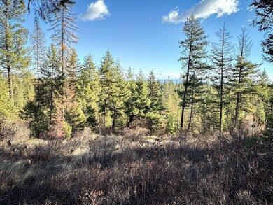 Rd, Springdale, WA 99173 - photo 4