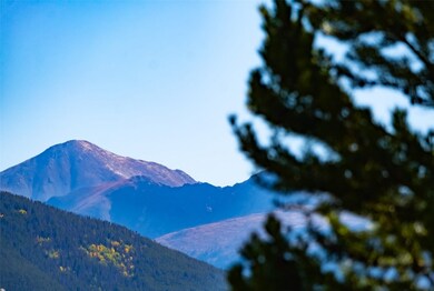 14 Spyglass Ln unit 14, Silverthorne, CO 80498 - photo 3