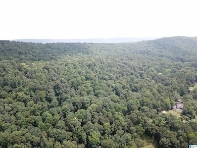 9063 Bush Ave unit 1, Leeds, AL 35094 - photo 2