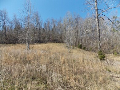 0 Spring Cir, Linden, TN 37096 - photo 6