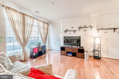 42601 Cardinal Trace Terrace, Ashburn, VA 20148 - photo 6