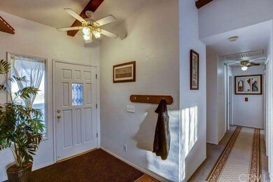 Front door and hallway