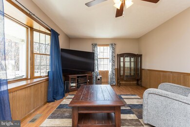 334 Divide Ln, Mathias, WV 26812 - photo 4