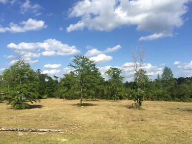 9.3 Acres R Moran Rd, McHenry, MS 39561 - photo 2