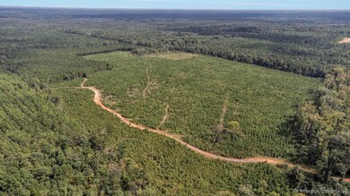 0 Louisiana 157 unit 21128560, Haughton, LA 71037 - photo 6