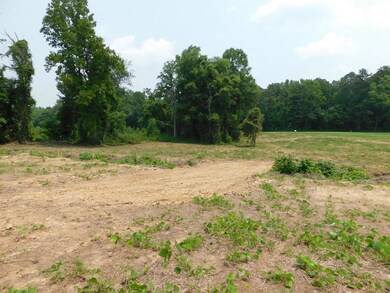 Open field