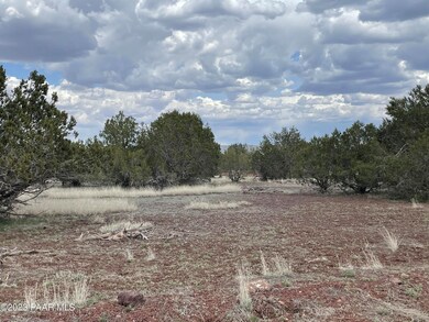 2460 Denny Dr, Ash Fork, AZ 86320 - photo 4