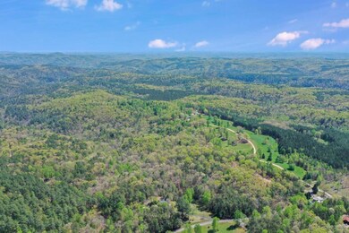 602 Gibson Rd, Clarkesville, GA 30523 - photo 5