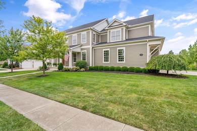 3-web-or-mls-DSC04881