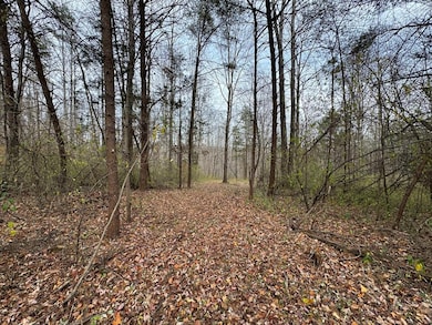 0 Pine Knoll Farms unit 104190, Stuart, VA 24171 - photo 4