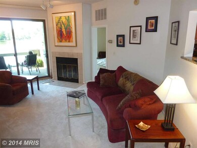 11300 Harbor Ct unit 113, Reston, VA 20191 - photo 5