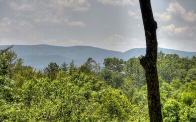 Additional View