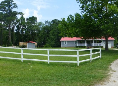 P1000843 (2)