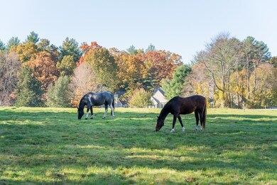 8 Pickman Dr unit 41, Bedford, MA 01730 - photo 4