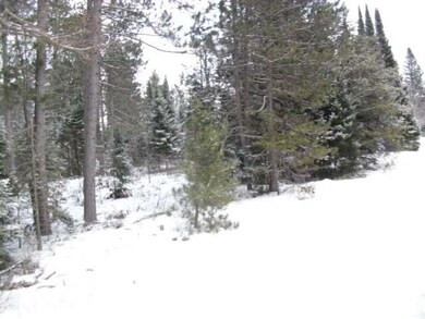 ON Cth Cc, Tomahawk, WI 54487 - photo 3