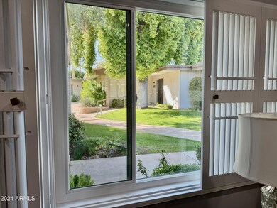 Living Room Window