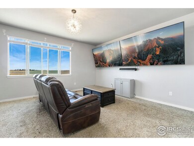 101 Primrose Ct, Wiggins, CO 80654 - photo 5