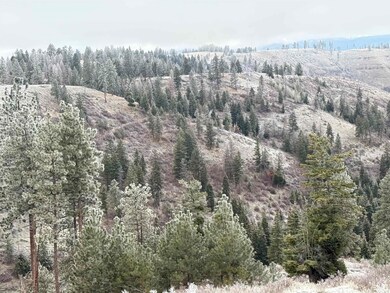 TBD Billy Creek Rd, Cottonwood, ID 83522 - photo 6