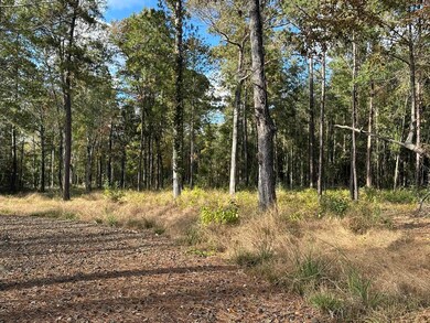 580 County Road 061 unit 580 County Road 061, Jasper, TX 75951 - photo 7