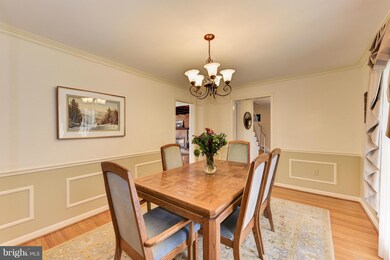 8036 Cindy Ln, Bethesda, MD 20817 - photo 6