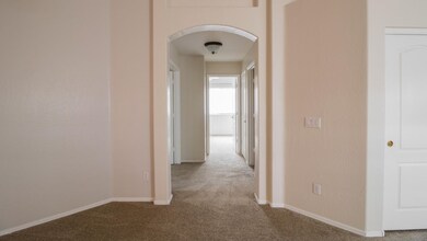 IMG_0894-7