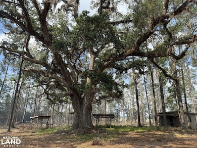 3009 Horse Stamp Church Rd, Waverly, GA 31565 - photo 2