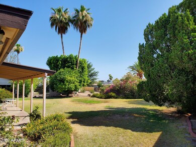 9007 COBRE VIEW OF BACK YARD