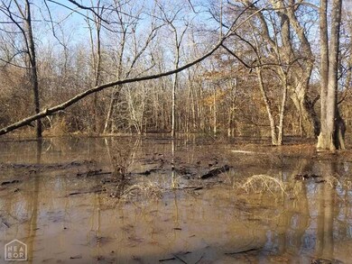 8250 U S 412, Paragould, AR 72450 - photo 5