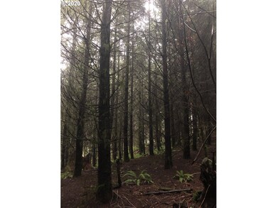 0 Gowan Rd unit 20115638, Rainier, OR 97048 - photo 4