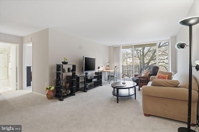 The Carlton unit 207, Arlington, VA 22204 - photo 3
