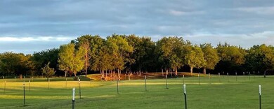 1300 SW County Road 3040, Corsicana, TX 75110 - photo 3