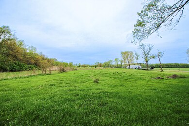 8602 E 101st Ave, Crown Point, IN 46307 - photo 2