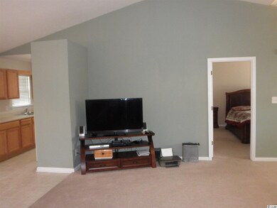 317 Sean River Rd, Conway, SC 29526 - photo 5